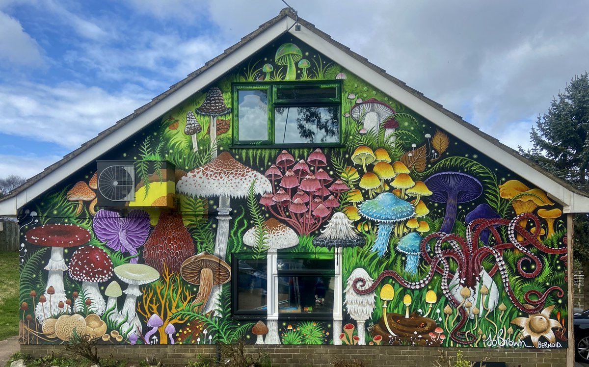 I'm going to be at Forest Fungi Devon on Saturday 25th May for a Q&A about the mural & signing copies of my book 'Secrets of a Devon Wood'. Come & talk to me about mushrooms :) #ForestFungiDevon #Devon #mural #mushroommural #mushrooms #fungi #SecretsofaDevonWood