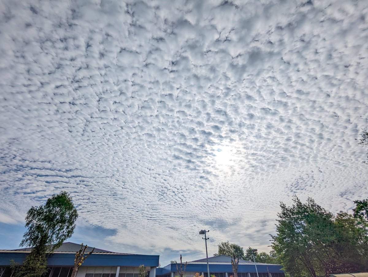 Beautiful altocumulus sky over Telford this morning. #loveukweather