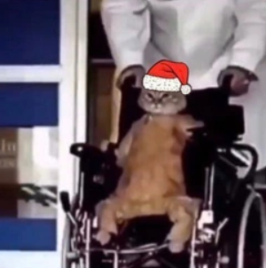 <a href="/blknoiz06/">Ansem</a> we buy fuds

 <a href="/fudsmckenzie/">[Fuds]</a>