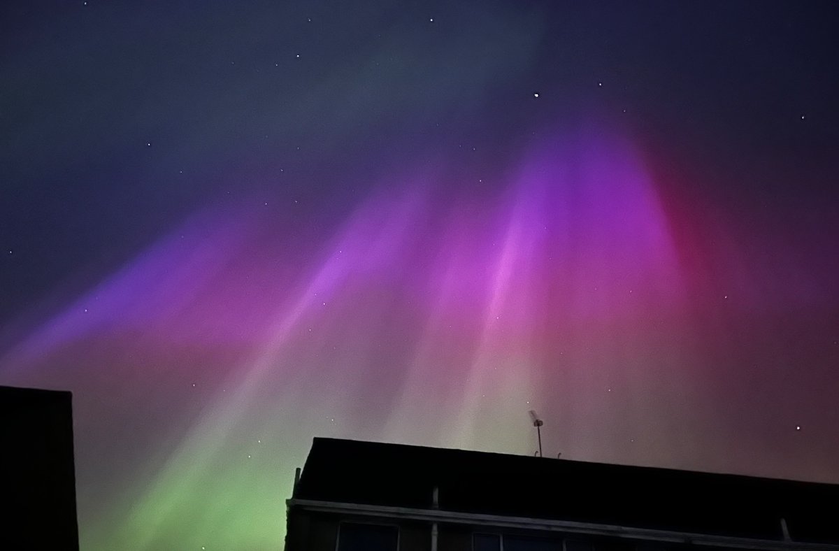 Jenny Poller tweet media