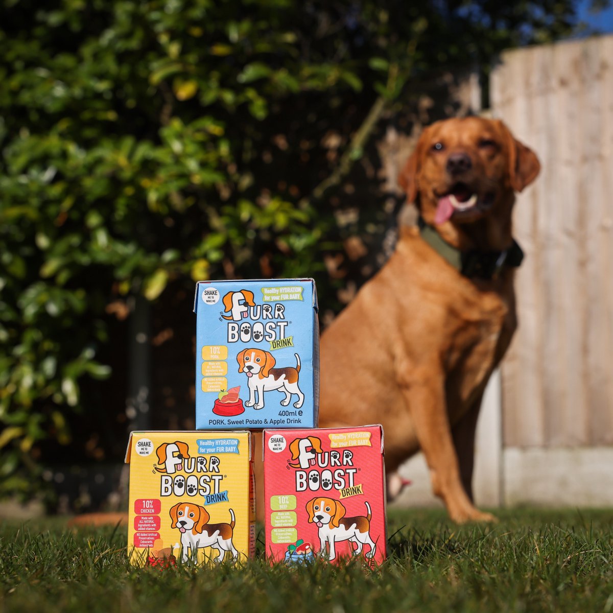 As seen on Dragons' Den 👀 Furr Boost are a smart way of getting your pooch to drink more water, whilst making it more exciting for them! High in protein and vitamins, Furr boost drinks are great for your canine's skin, hair and joints. Your dog's summer smoothie is waiting 🌞