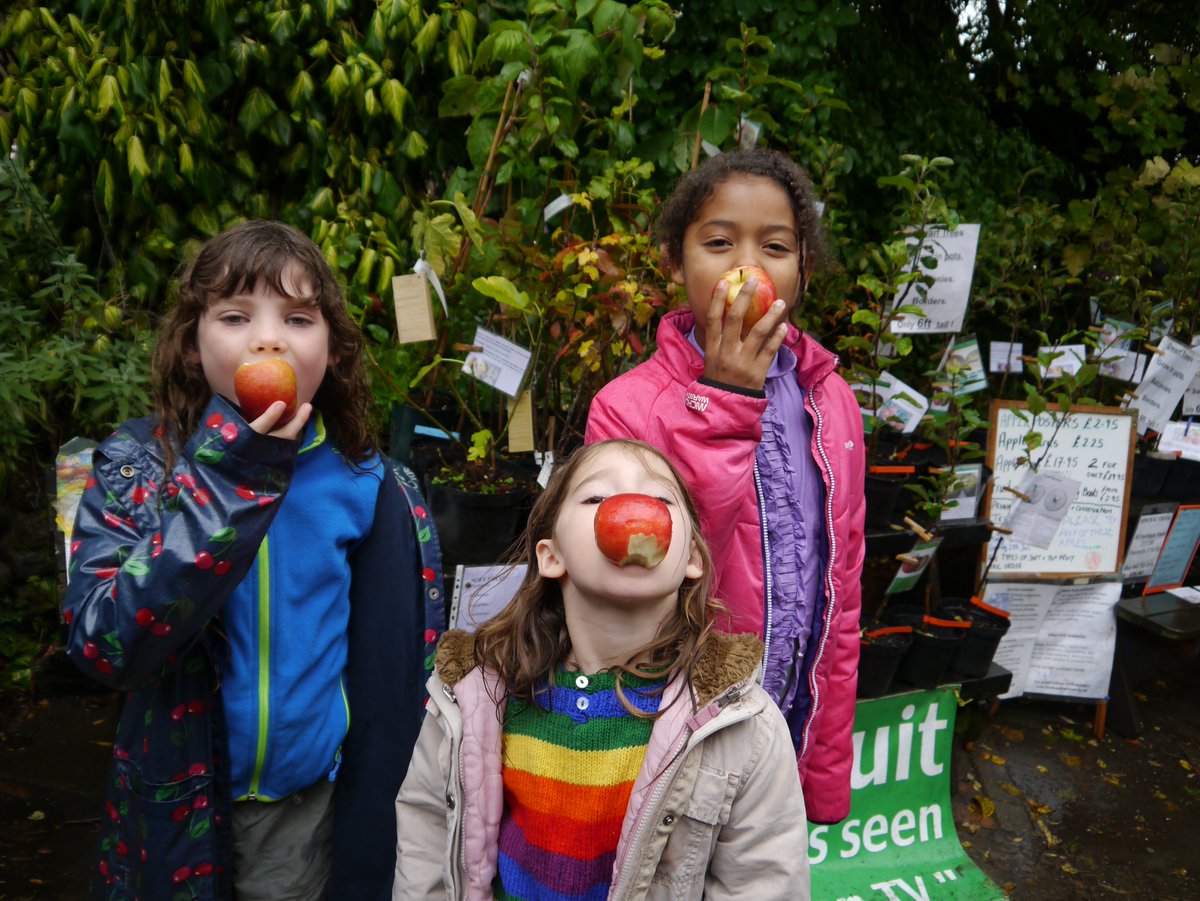 The Orchard Project turns 15 today! 🎉 Here's a little photo trip down memory lane ... In this time we've worked with 500+ orchards & empowered thousands of people with food-growing skills. If you'd like to mark our birthday with a gift, donate here: bit.ly/40FbU6m 🎁