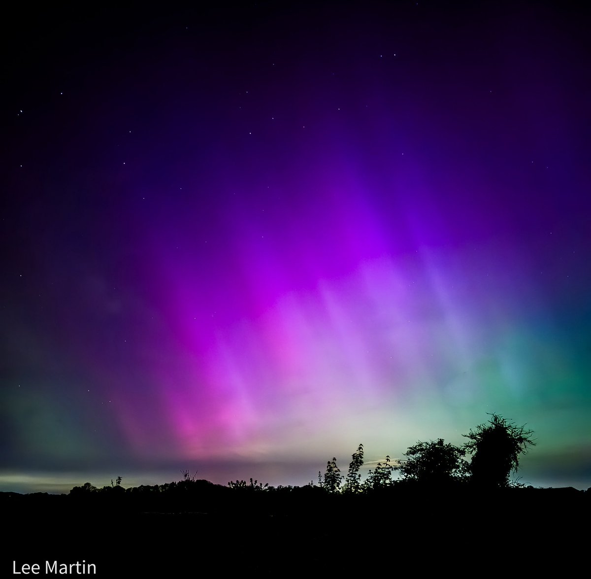 Lee Martin tweet media