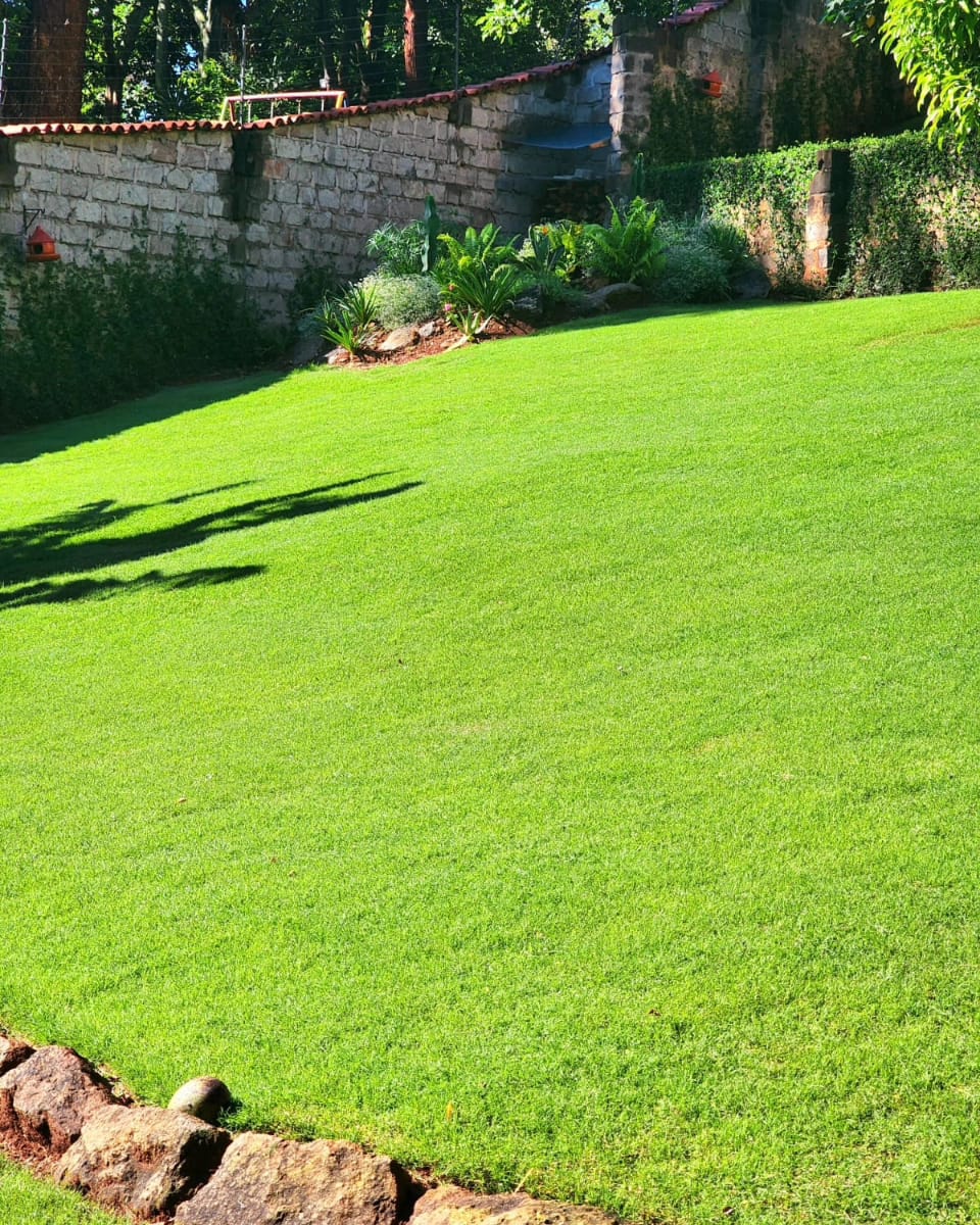 Garden Consultants And Services tweet media