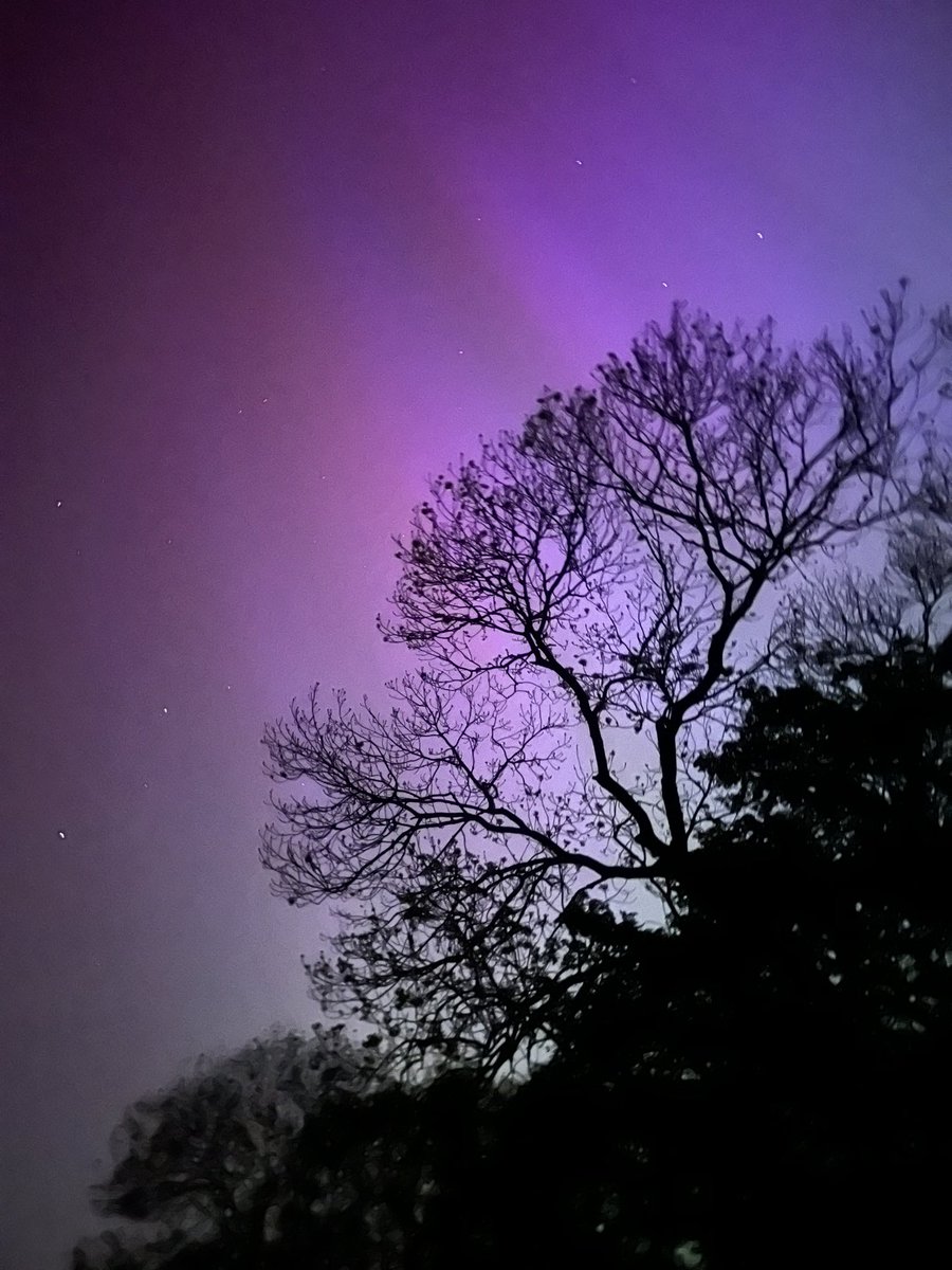 alcesterfred's tweet image. Wow just wow!!!!