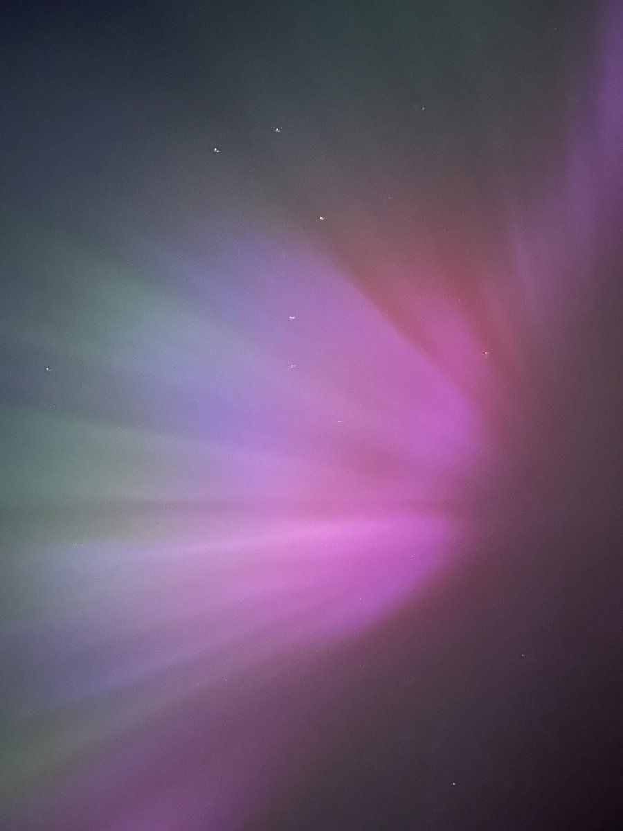 alcesterfred's tweet image. Wow just wow!!!!