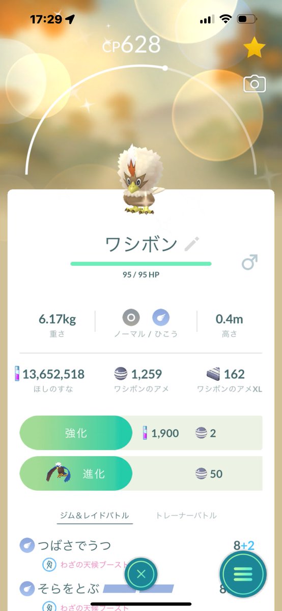 12solitaire's tweet photo. #ひこうリサーチデイ
#ポケモンGO
#色違い
ライバルイベントに続き皆さんお疲れ様でした😊
ワシボン、オニスズメ、ホーホー狙いでコンプリートしましたー🩷
ライバルイベントでは、心ズタズタで立ち直ってなかったので、なんとか生き返りましたー😂 https://t.co/Gluz2PS7h4