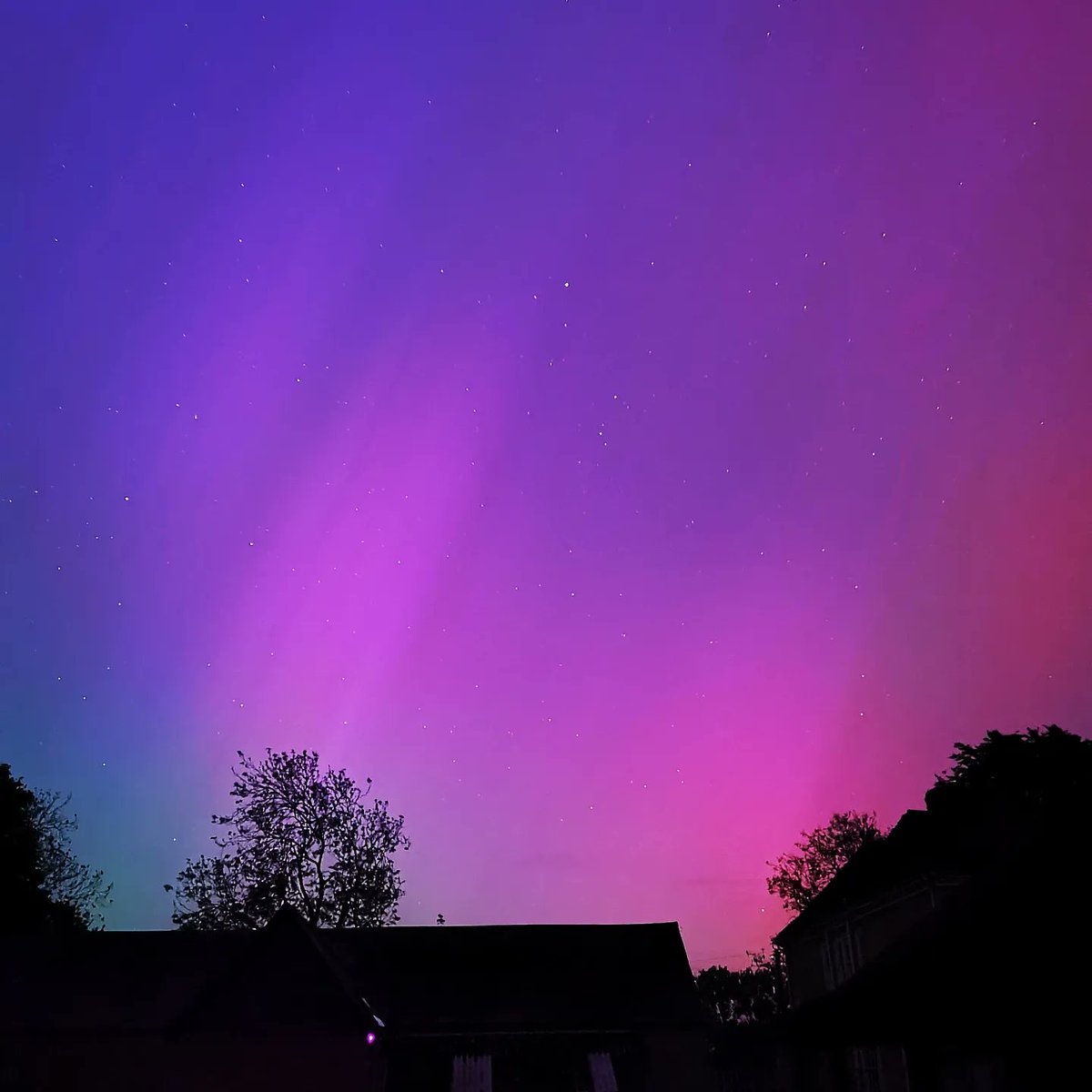 Fabios Gelato tweet media