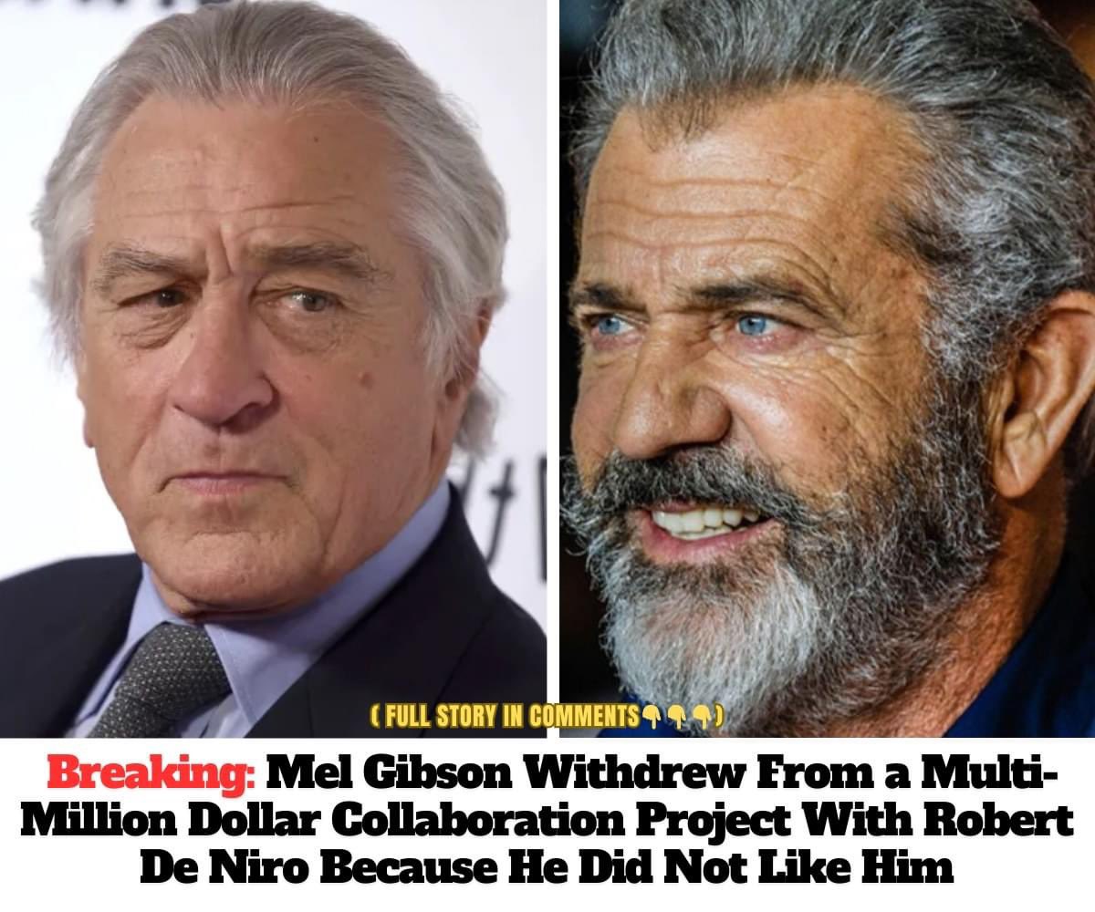 Breaking: Mel Gibson Withdrew From a Multi-Million Dollar Collaboration Project With Robert De Niro Because He Did Not Like Him. #MelGibson 👍#RobertDeNiro #Movies #HollyWood #TRUMP 🇺🇸 #MAGA 🇺🇸 #AMERICA🇺🇸