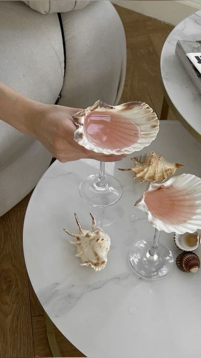 sea shell glasses