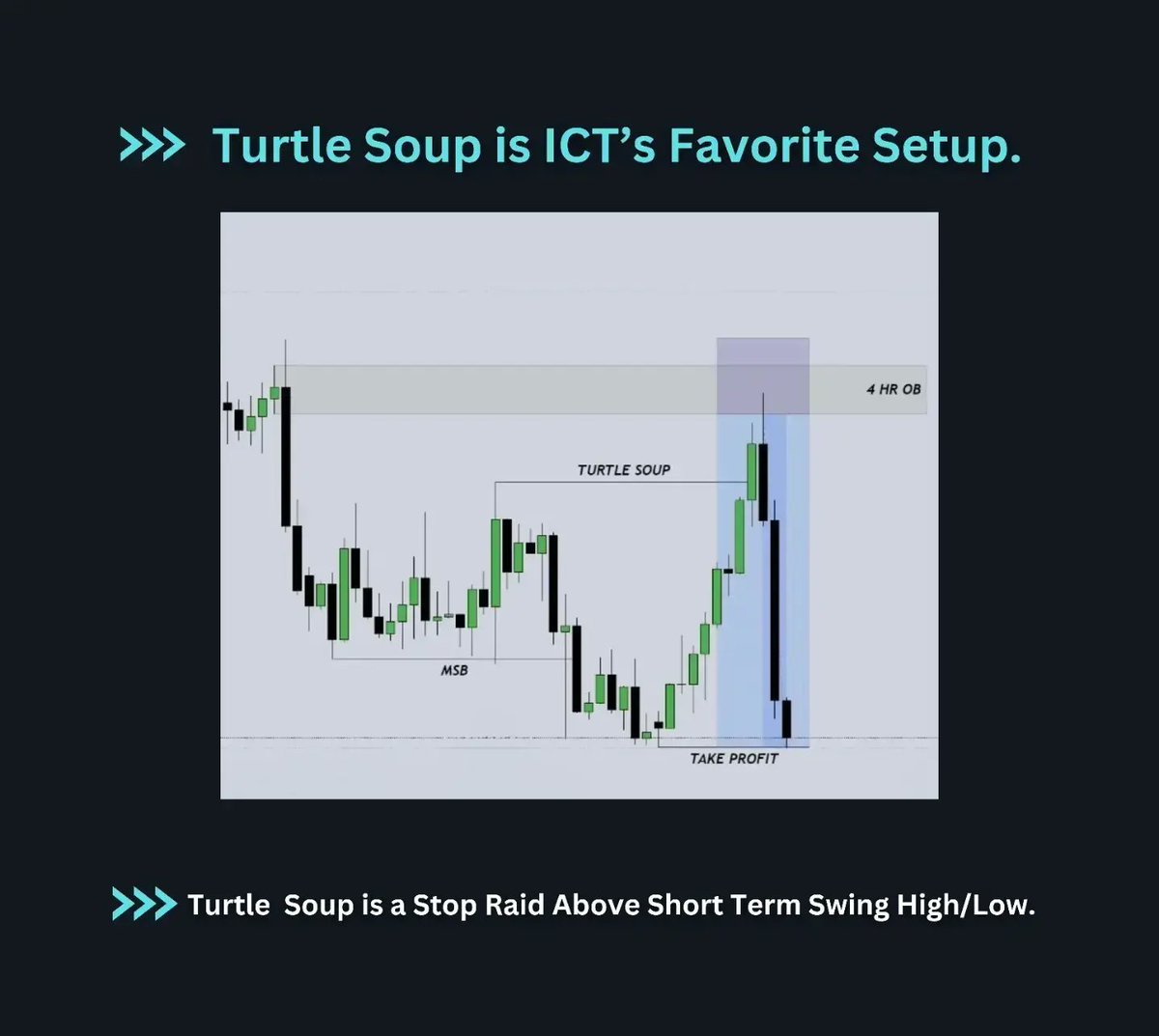 turtle-soup-a-thread-thread-from-anshuman-hitmanluci-rattibha