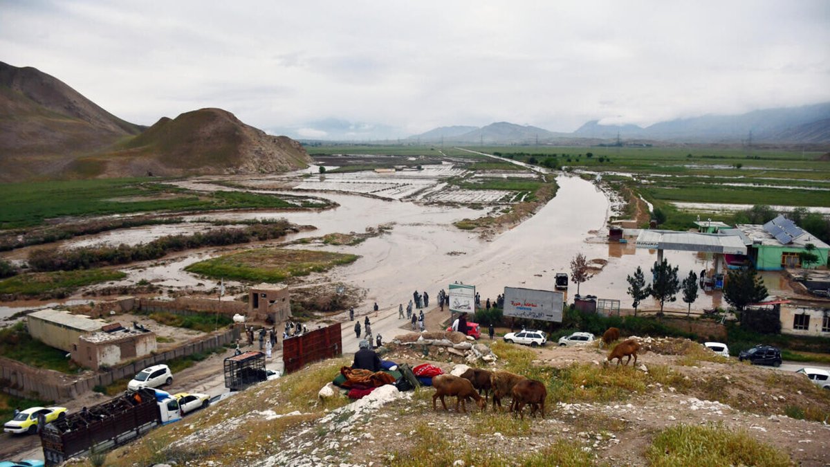 More than 200 dead in Afghanistan flash floods: UN ➡️ go.france24.com/5h7