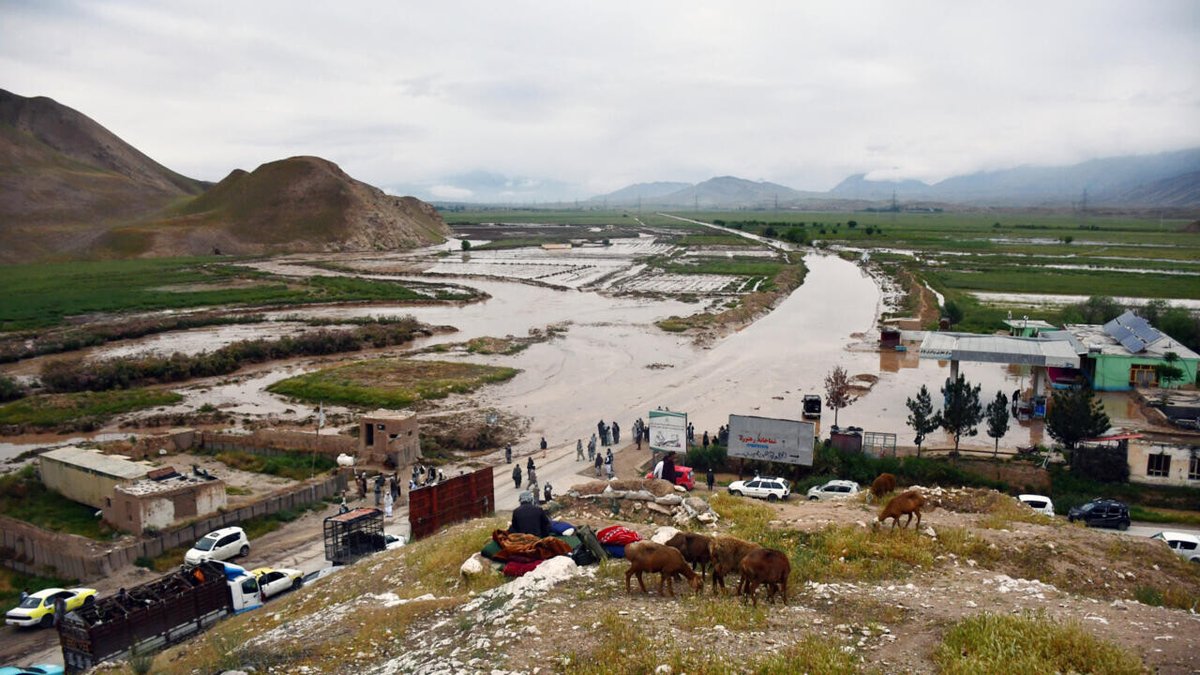 More than 200 dead in Afghanistan flash floods: UN
➡️ go.france24.com/fDQ