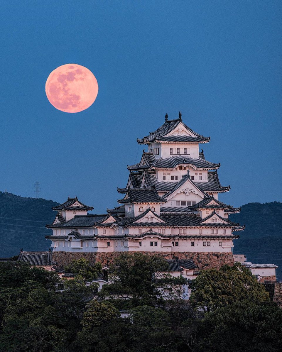 Le château de Himeji 🇯🇵 est une véritable merveille architecturale.

Inscrit au patrimoine mondial de l'UNESCO et désigné comme trésor national du Japon, il est également connu sous le nom de château du héron blanc.