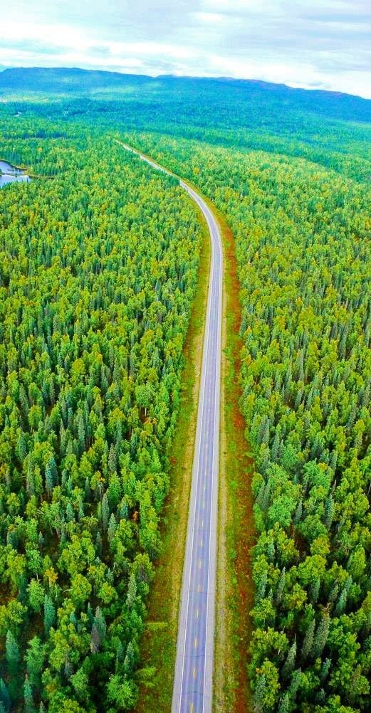 Tanmay65704525's tweet photo. The first in time and the importance of the influences upon the mind is that of nature
Everyday, the sun and after sunset, night and her stars - Ralph Waldo Emerson 🌍🥰🥰
#nature #sun #TreeGrowingDay #TreePlanting #earth https://t.co/ekiSLIoCDk