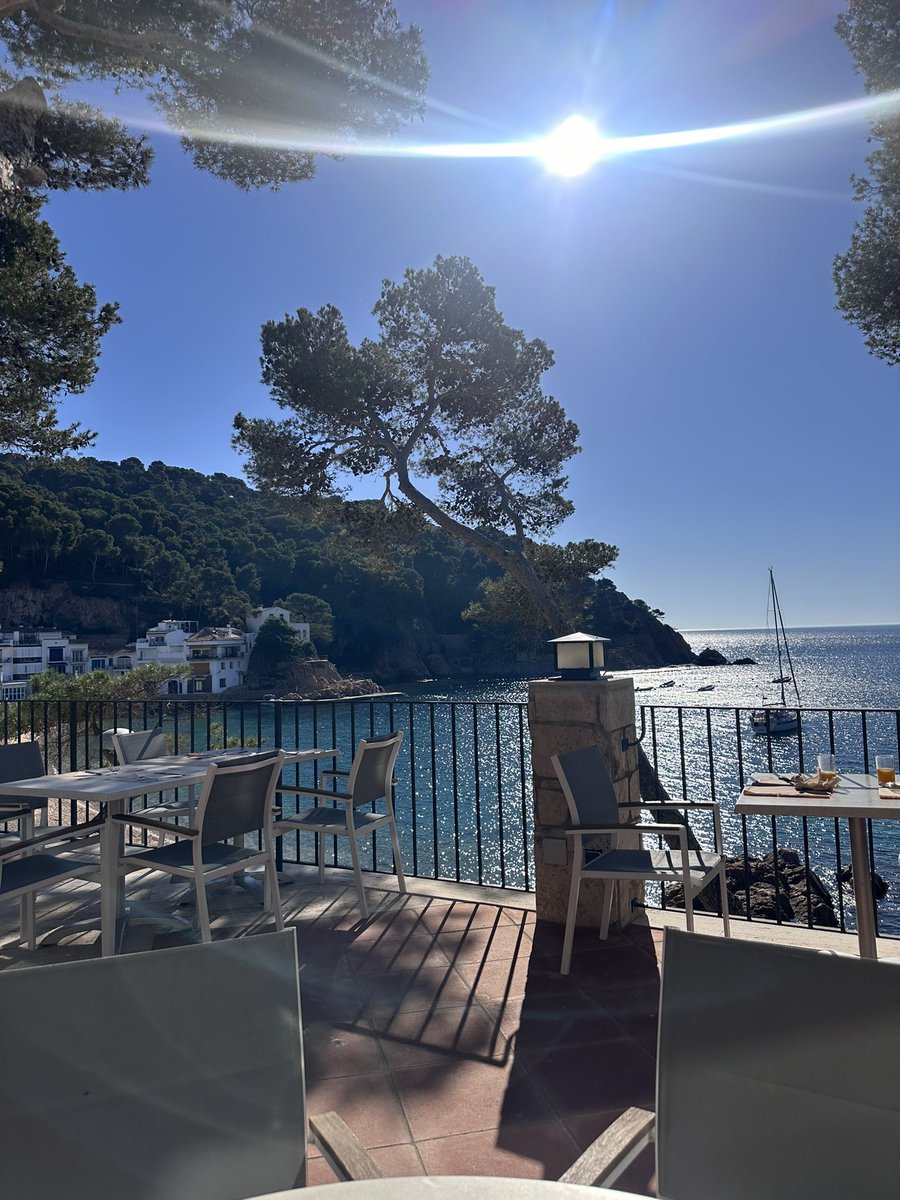 Avui #COLFICAT és #FisioAPiC de Nord a Sud i d’Est a Oest. 

A Tamariu en un entorn privilegiat <a href="/CFCGirona/">Secció fisios Girona CFC</a>  i a Tarragona amb <a href="/CFCTarragona/">Secció Tarragona CFC</a> l’ #APiC és protagonista.

Parlem de present, passat i futur convençuts del canvi que suposa. 
<a href="/aperebrat/">Aina Perelló Bratescu</a> <a href="/DraRomaguera/">Anna Romaguera Piñol</a> <a href="/FisioSoto/">Luis Soto-Bagaria</a> <a href="/raiguade/">Ramon Aiguadé</a>