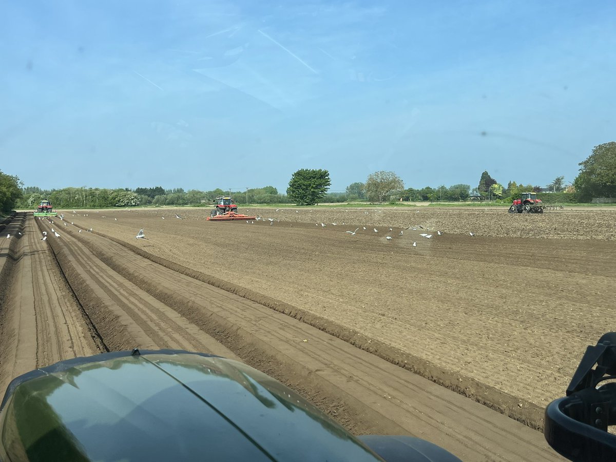 Today’s planting crew <a href="/MF_EAME/">Massey Ferguson Official</a> <a href="/AVRmachinery/">AVR</a> <a href="/KUHN_UK/">KUHN Farm Machinery</a> <a href="/CousinsOfEmneth/">Cousins of Emneth</a> <a href="/AgVantageUKLtd/">AgVantage UK Ltd</a> <a href="/AKPGroup_/">AKP Group</a> <a href="/Holly17095180/">Holly</a> <a href="/SophieT72977734/">Sophie Turner</a>