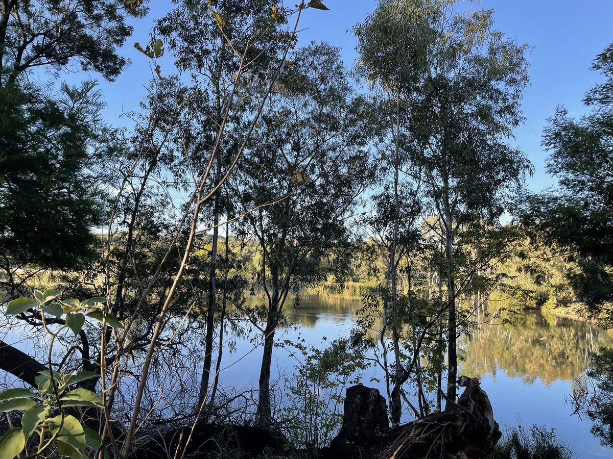 Parkrunday shenanigans 🌞🌳 #happyplace #SaturdayVibes #touristing #loveparkrun