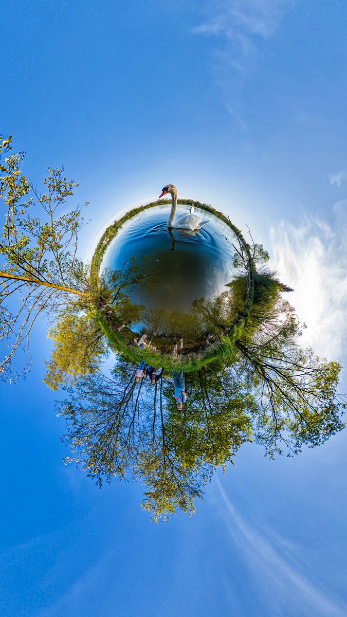 Kandao Japan (@kandaojapan) on Twitter photo 📸:<a href="/BartAchilles/">Bart Achilles</a> by #qoocam3
自然の魅力と白鳥の優雅さを感じる~🦢
#kandao #パノラマカメラ #撮影 #自然 #白鳥 📸:<a href="/BartAchilles/">Bart Achilles</a> by #qoocam3
自然の魅力と白鳥の優雅さを感じる~🦢
#kandao #パノラマカメラ #撮影 #自然 #白鳥