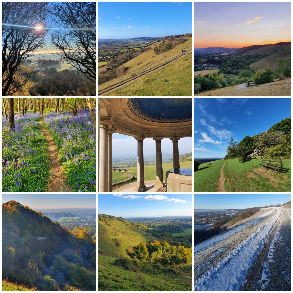 To celebrate #SurreyDay, here are a few shots of my favourite place to feel on top of the world. 🌄💚 #Reigate