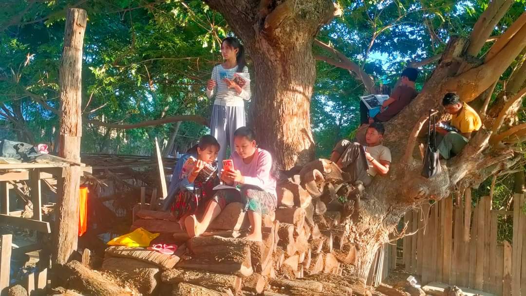 thinzashunleiyi's tweet photo. Online learning in #Myanmar 😊

"You can cut all the flowers, but you cannot keep Spring from coming" https://t.co/RT5eAY3gPl
