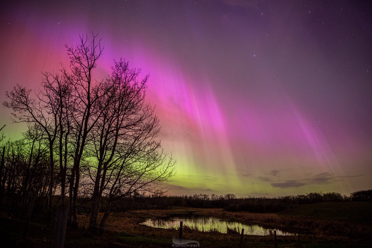 treetanner's tweet image. ABSOLUTE INSANITY 🤯🤯 #auroraborealis #northernlights #teamtanner @dartanner ⁦@TamithaSkov⁩ ⁦@scottrockphoto⁩ ⁦@chunder10⁩ ⁦@PeakToSailPhoto⁩ ⁦@jonokimber⁩ ⁦@AngelBrise_⁩ ⁦@