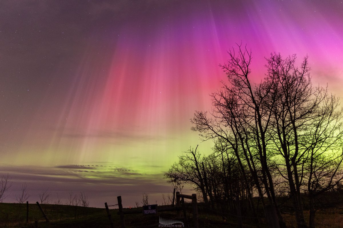 treetanner's tweet image. ABSOLUTE INSANITY 🤯🤯 #auroraborealis #northernlights #teamtanner @dartanner ⁦@TamithaSkov⁩ ⁦@scottrockphoto⁩ ⁦@chunder10⁩ ⁦@PeakToSailPhoto⁩ ⁦@jonokimber⁩ ⁦@AngelBrise_⁩ ⁦@
