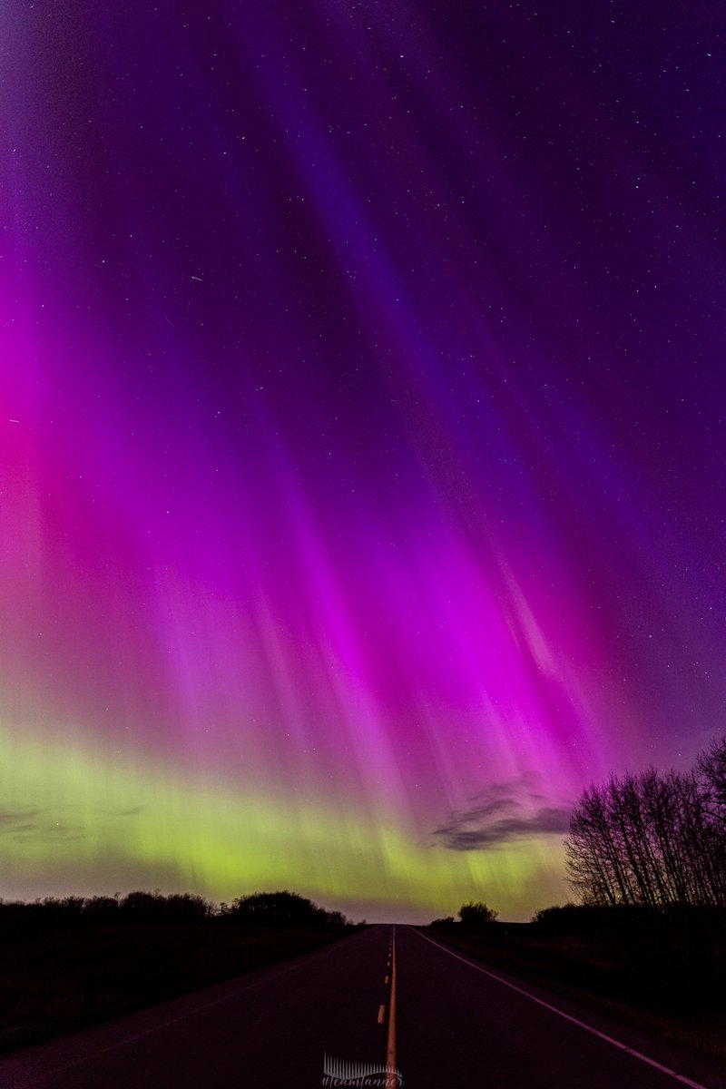 treetanner's tweet image. ABSOLUTE INSANITY 🤯🤯 #auroraborealis #northernlights #teamtanner @dartanner ⁦@TamithaSkov⁩ ⁦@scottrockphoto⁩ ⁦@chunder10⁩ ⁦@PeakToSailPhoto⁩ ⁦@jonokimber⁩ ⁦@AngelBrise_⁩ ⁦@