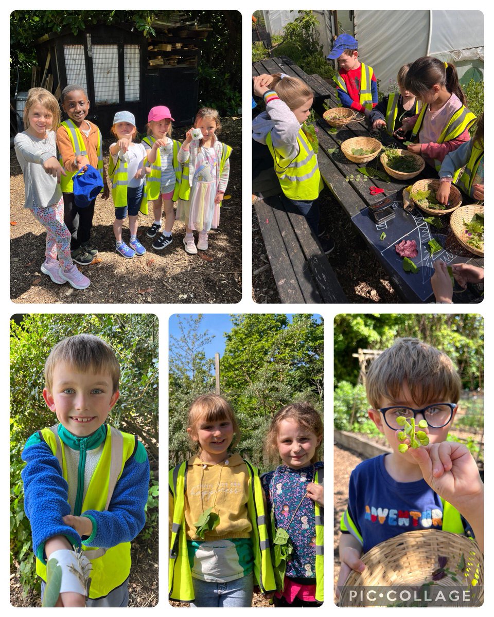 Year 1 had a wonderful time in the sunshine @CoopParadise . They created their very own pot plants out of old newspapers as well as sculpting necklaces and bracelets from plants and leaves.