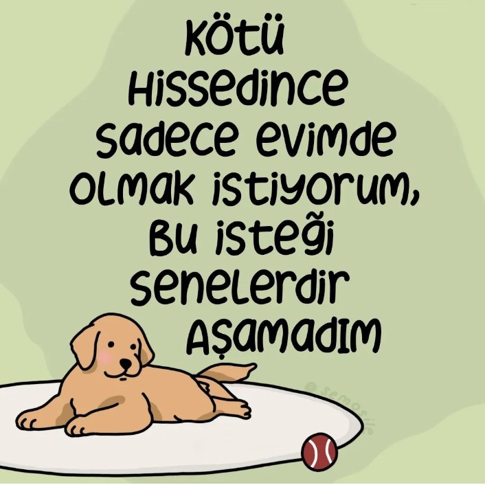 1 mesaj (@1mesajdan) on Twitter photo 