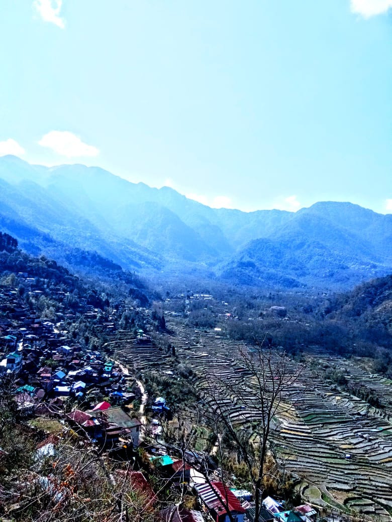 NagaOralHistory's tweet photo. 📍Khonoma Village - Nagaland
The first Green Village in Asia, with its naturally blessed resources, intriguing history and rich culture, the village is one of the most visited places in Nagaland.

📷Students from Oriental College
#empathy #oralhistory #stories #nagaland https://t.co/z5N4PGvn5i