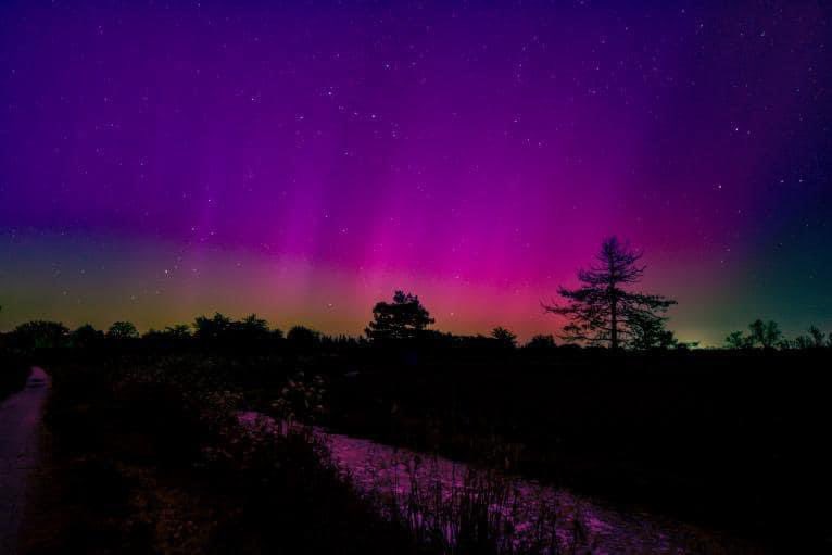 Ce matin vers 4 heures, Olivier Guittonneau  alias Olipics a capturé des aurores boréales au-dessus des marais de L'île d'Olonne ! N'est-ce pas Magnifique ? Quelle chance d'avoir pu observer ce phénomène rare et grandiose ! #AuroraBoreal #auroresboreales #lessablesdolonne #vendee