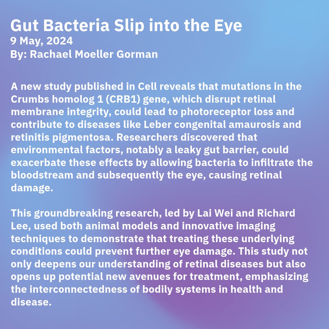 Groundbreaking study in Cell shows how CRB1 gene mutations may lead to retinal diseases via a leaky gut, allowing bacteria to damage the eye. This research could open new treatment avenues for inherited retinal diseases. Read more here: ow.ly/TCYx50RB6lS