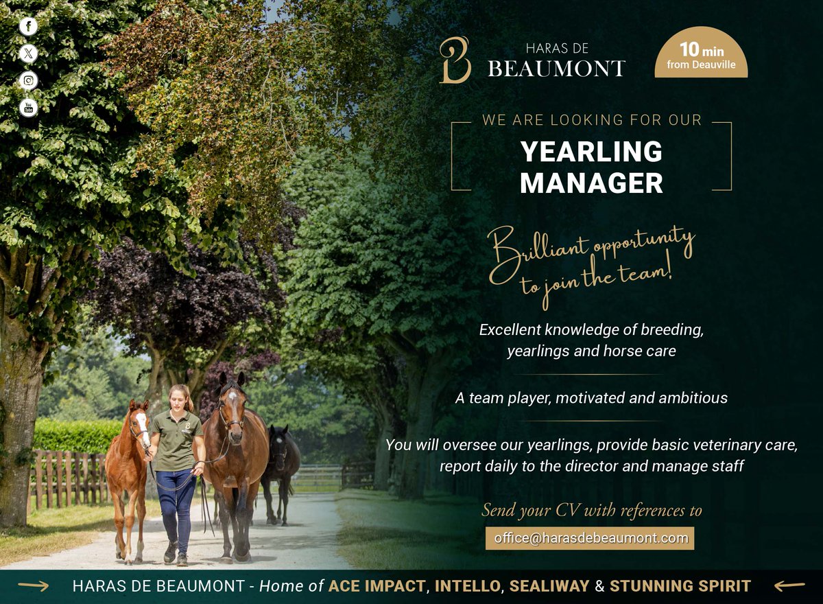 💥 @HarasBeaumont are looking for a Yearling Manager to join their team 💥 ✅ Excellent knowledge of breeding, yearlings & horse care ✅ Team player, motivated & ambitious See below for more info and for application details ⬇️ #ReadAllAboutIt