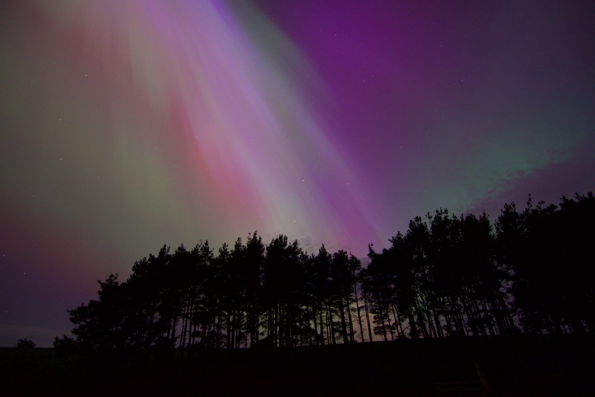 jamesfthomson's tweet image. Successful trek out to see this 🌌

Derwent Reservoir, Waskerley and home via Stanhope. Thanks to @jwilko_87 for the company!

#Auroraborealis #countydurham
