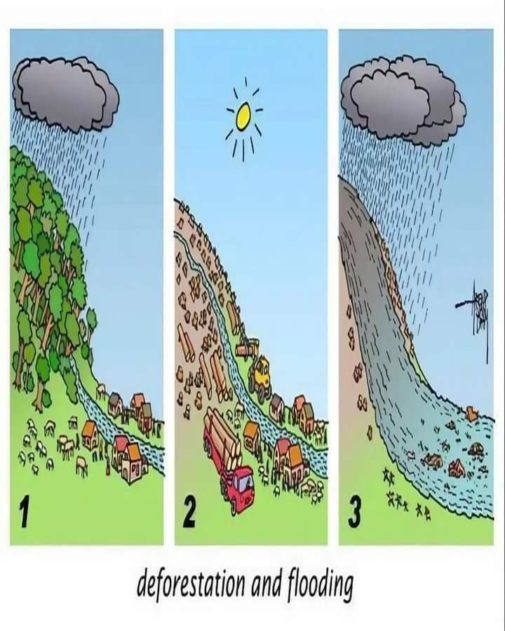 A depiction of what happens when we cut down trees without planning planning properly #ClimateAction #ActOnClimate