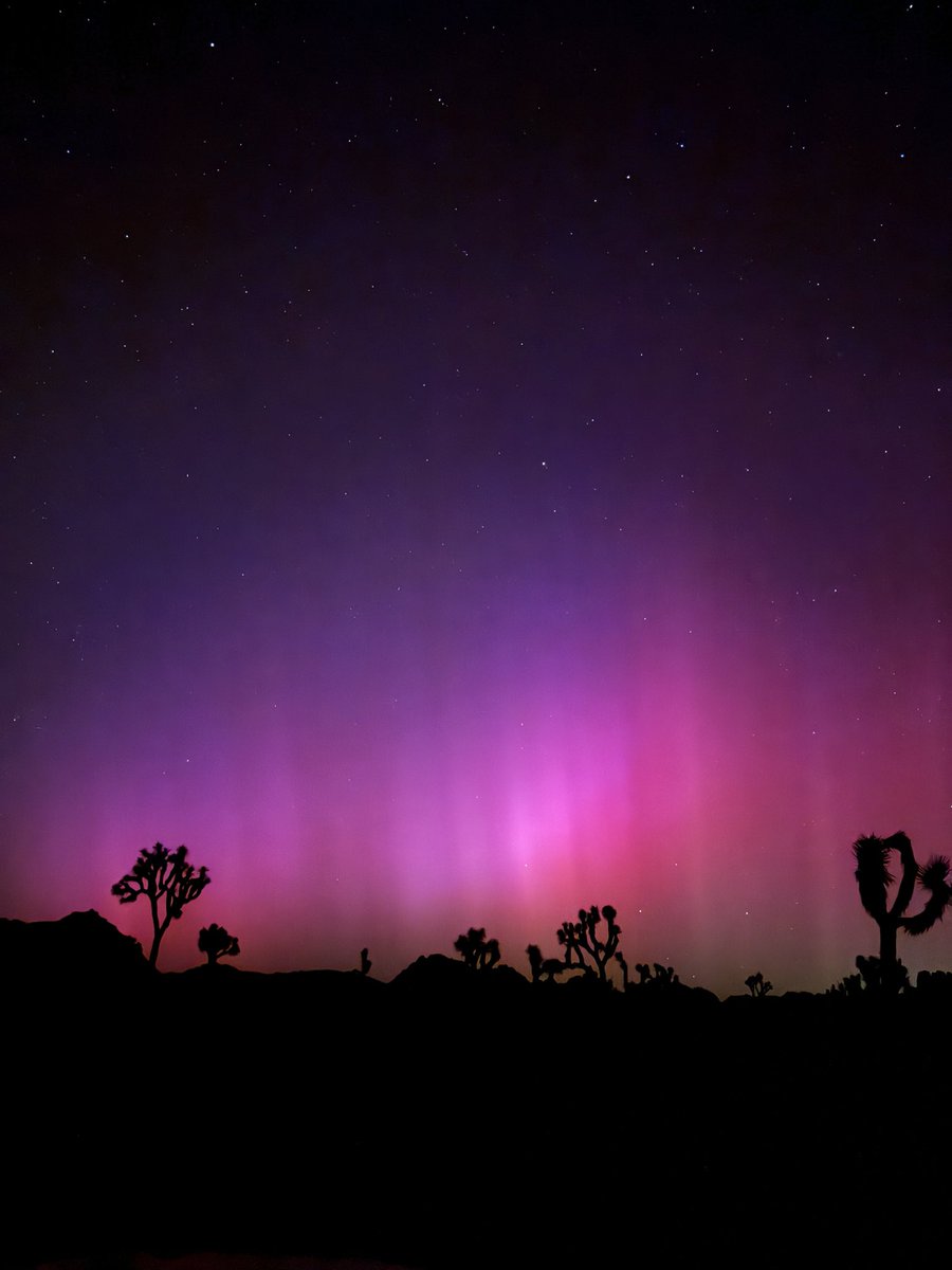 Aurora in Joshua tree California !!