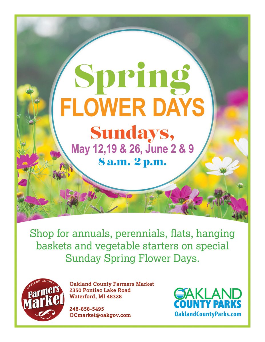 Have you heard, #OaklandCounty? The @OCParksAndRec Farmers Market Spring Flower Days will return in time for #MothersDay! Find flowers, plants, vegetable starters, and more starting May 12. 🌺Details: tinyurl.com/4sje79kk.
🌺Find more flower locations: bit.ly/3WAJTNa.