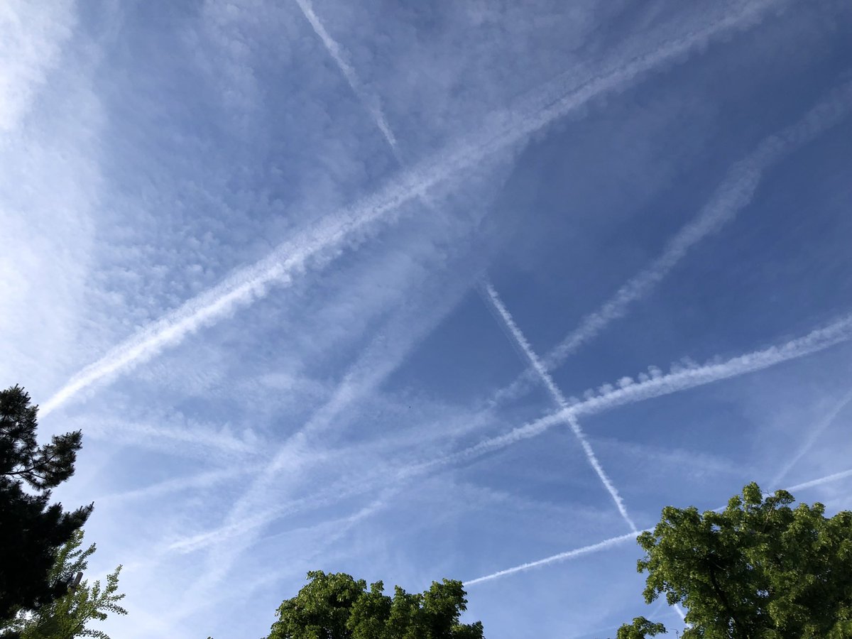 Ein ganz normaler Himmel.

Es gibt ja keine #Chemtrails. 🤷‍♂️

Die zuständigen Behörden würden das versprühen giftiger Chemikalien bestimmt verbieten. Wir sind schließlich ein autonomer Staat. 🤡

Alzheimer, Demenz, Krebs, saurer Regen, Wald- Bienen- Insektensterben? 
✈️✈️✈️