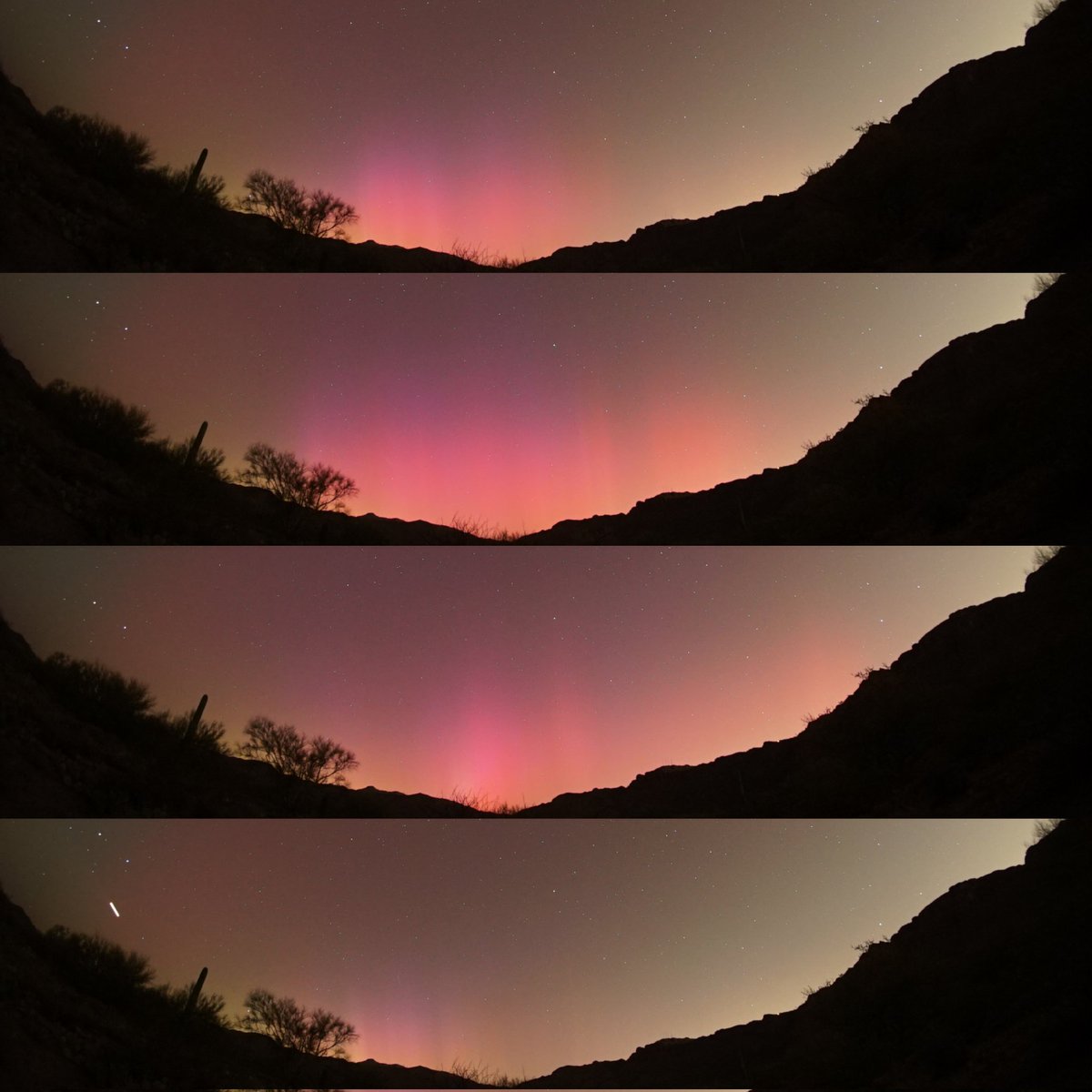 astroskii77's tweet photo. Aurora Borealis captured in Saguaro NP West, near Tucson AZ. @whatsuptucson hope more people can enjoy the show! 

I will post some time lapse after some sleep. 

#Auroraborealis #northenlights #Tucson #Arizona https://t.co/SwSuLB6eNm