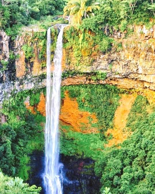 Destination: 🇲🇺 📍Chamarel Waterfall received its name from its location, the Chamarel Village, which was named after a captain who had settled there in 1786. It's known as the highest waterfalls of Mauritius with a height of about 100m. Go see it⬇️ beachtag.co.za