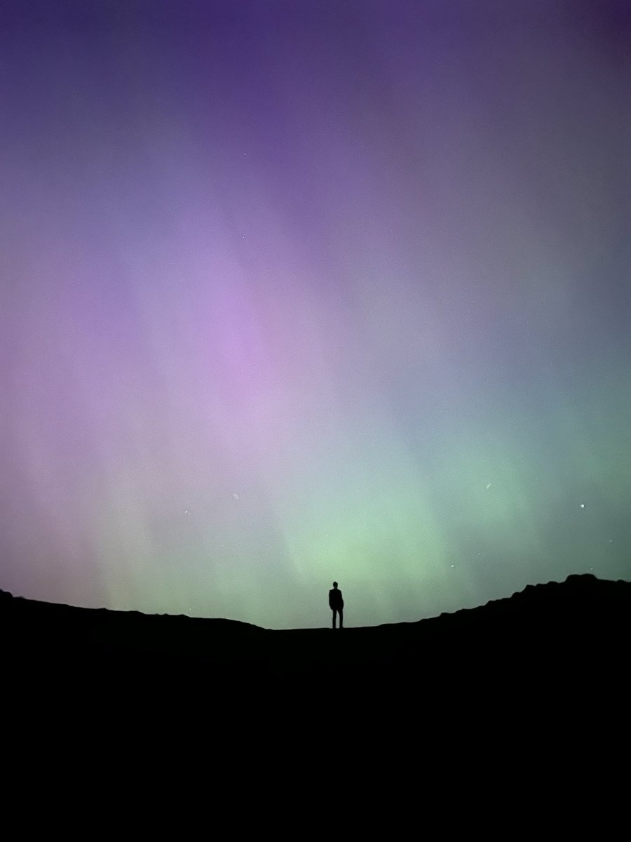 Ilana Pearce (@ilanaspearce) on Twitter photo 