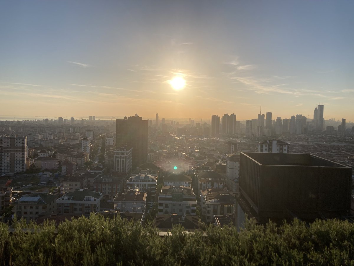 Zach Amara tweet media