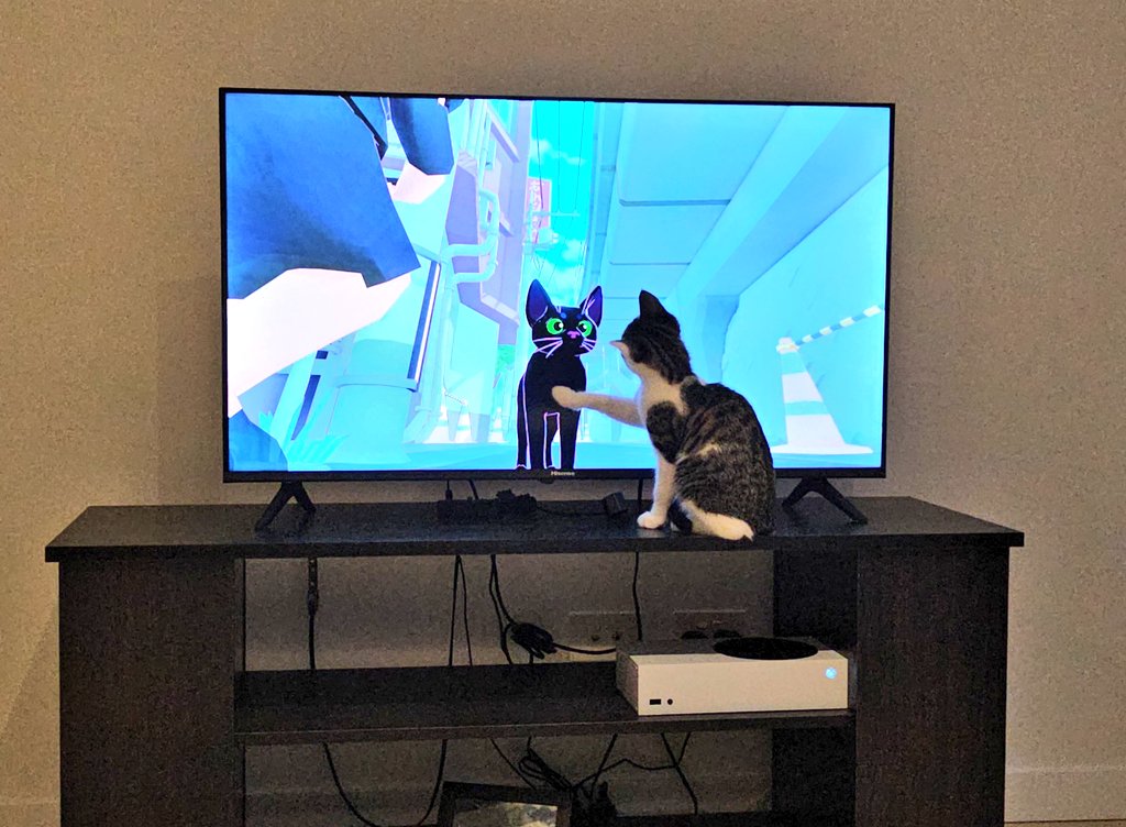 MissDeusGeek tweet media