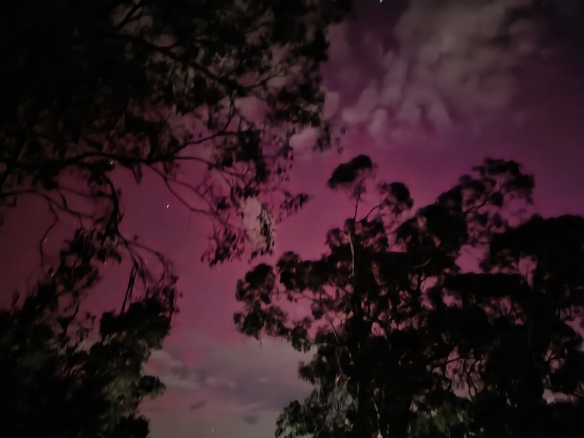From our backyard in the lower Dandenong Ranges