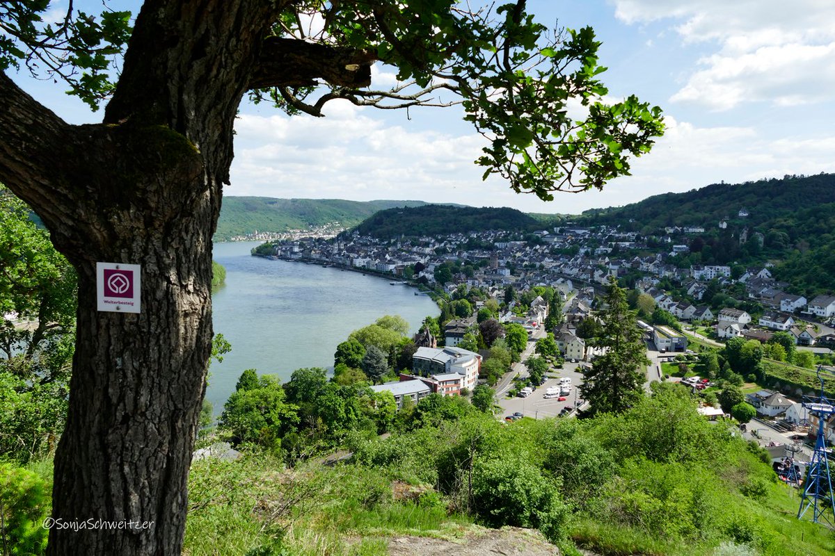 Welterbesteig Boppard, Trittsicherhheit und gutes Schuhwerk sind hier ein MUSS.......................... #RLPerleben #VisitRLP #Rheinschleife #Sessellift #wandern #Ausflugsziel #Ausflugstipp #RLP #RheinlandPfalz #Rhein #Boppard #Filsen #Mittelrheintal #Germany