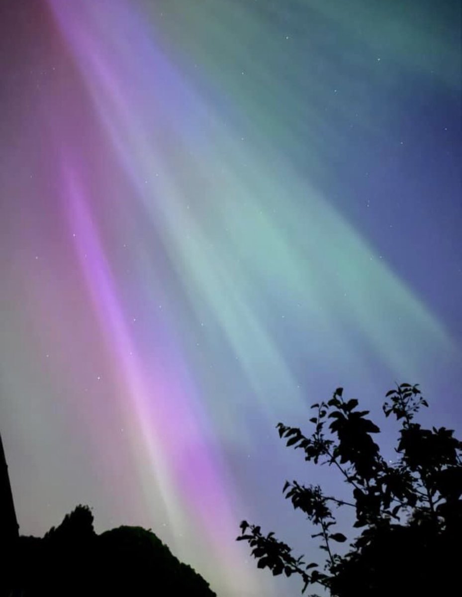 Dr Petya Ventsislavova tweet media