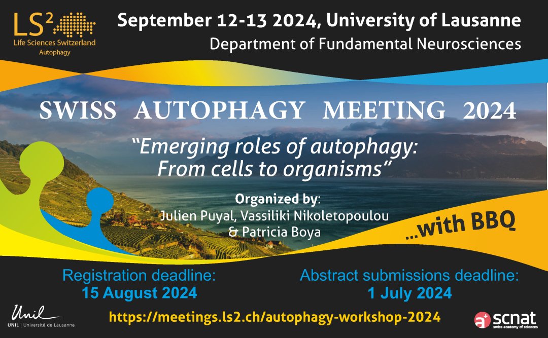 The Swiss #Autophagy Meeting 2024 will take place on 12-13 Sep. 2024 in #Lausanne - a great opportunity to discuss the latest research trends and network with fellow scientists at the meeting BBQ! Join with an abstract until 1 Jul. 2024. lnkd.in/eCEnYHSc