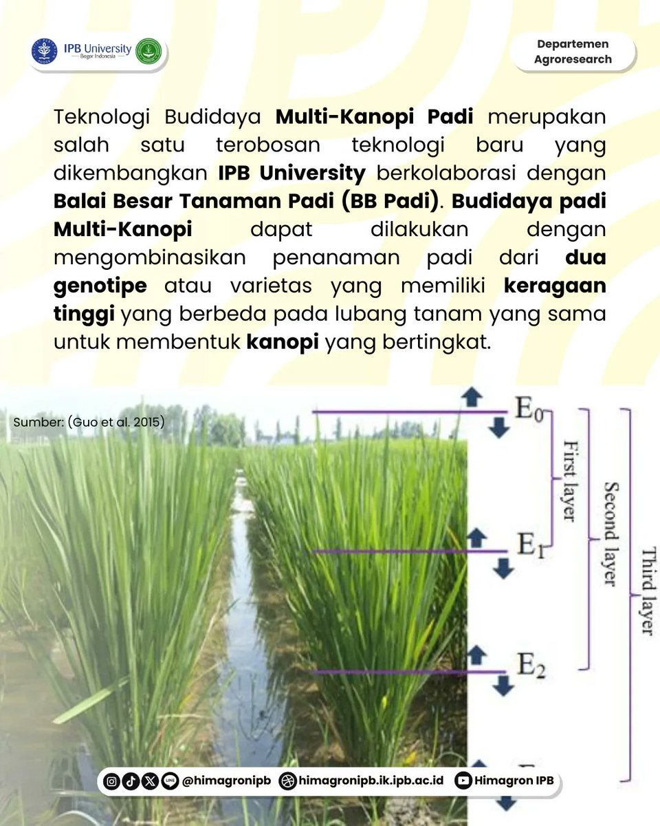 Himagron IPB tweet media