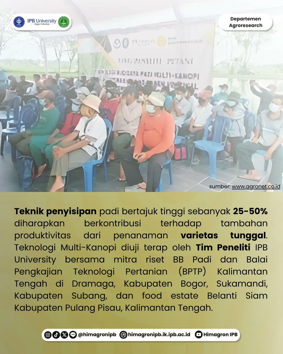 Himagron IPB tweet media
